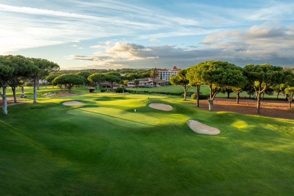 Pinhal-DJI_0503-HDR
